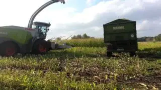 [100 Abo special] Mais 2013 Jaguar 940 und Deutz Agrostar 6.31 DX 6.30 D 8006 Special...