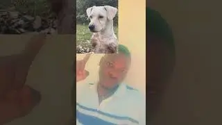 Look at that dog, God was merciful. #duet #duo