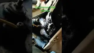 Split AC compressor body leakage #maintenance##ac