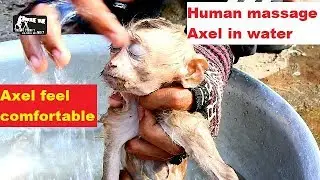 P29.Human take a bath and massage for orphan Axel|First look to Axel scare water,than Axel like it