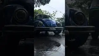 VOCHO AZUL 🦋