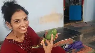 మొత్తానికి amaswamiki వెళ్ళాను 🙏//Mango enjoyments @ammama village //pilaki 🤔taliki..//milkysmazaa 😍