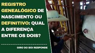 REGISTRO GENEAL&Oacute;GICO DE NASCIMENTO OU DEFINITIVO: QUAL A DIFEREN&Ccedil;A ENTRE OS DOIS?