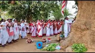 Simdega sarna puja Sarhul Sarna puja 🇦🇹🇦🇹🙏🙏🙏🌳🌳🌳🌳