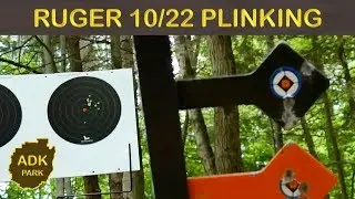 RUGER 10/22 ПЛИНКИНГ