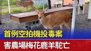 首例空拍機投毒案 害農場梅花鹿羊駝亡
