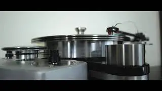 VPI Avenger Plus