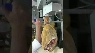 В хамоне кость лишняя