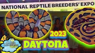 Daytona National Reptile Breeders Expo 2023(Full Walkthrough)