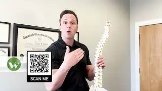 Does Chiropractic Help with the Pain Between My Shoulders?: Wilbeck Chiropractic