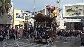 令和7年 岸和田だんじり祭 曳き出し 駅前 Kishiwada Danjiri Matsuri2025/09/13