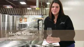 Winemaking Process Video | Tasting Wines from Vineyard to Fermentation Tank