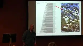 Improving urban resilience through tree selection