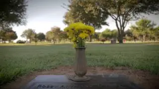 Lisa Gail Allred Rainbows The Official Music Video