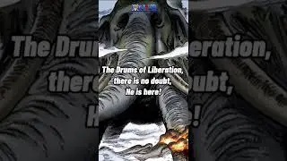 one piece / chapter 1043 spoilers / spoilers