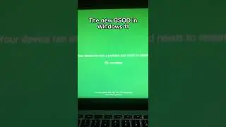 New blue screen of death in Windows 11 (25H2 Selenium Build)