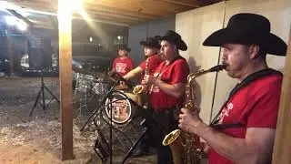 El alazan y el rocio -Tamborazo Barragan 🎷🎷