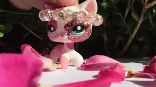 LPS MV: Issues