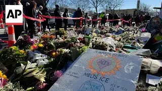 2 federal officers fired shots during encounter that killed Alex Pretti