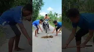 Why is the news in the middle of the road?