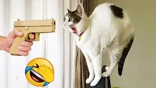 Cute Animals Acting Strange  | 😼🐶Try Not To Laugh😜