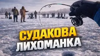 СОТНІ СУДАКІВ У ЦИХ КОРЧАХ 😱 СУДАК ЗІБРАВ ВСІХ ТУТ‼️ ВСІ ЧЕКАЮТЬ ВИХОДУ🎣