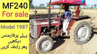 For sale Massey Ferguson 240 | Model 1987 | second hand MF240 tractor  working in field