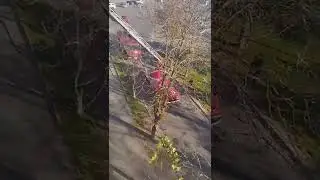 У кого-то пожар (