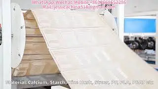 Biodegradable rice husk food box machine#manufacturing #pla#pbat#cornstarch
