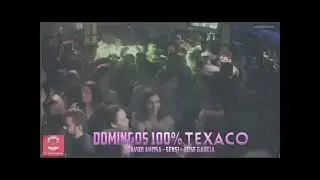 SenSi // Domingos Texaco // 2018