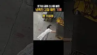 순간의 호기심, 아이를 멈춘 기계 #안전