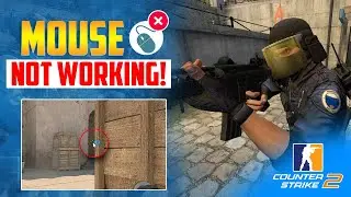 How to Fix the Mouse Not Working on CS2 PC | Can't Move Mouse in CS2 on PC