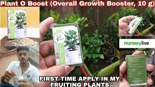How to apply plant o boost in pots #plant_o_boost #nurserylive.com #plant_booster #growth_booster