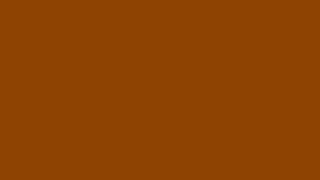 Brown Screen | 10 Hours of Brown Screen - Perfect Brown Background, Backdrop & Screensaver!