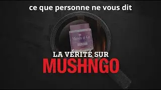 Mush n go : L'enqu&ecirc;te SECRETE sur la marque de champignons adaptogenes