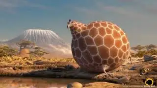what if all wildlife animals were fat - funny animation