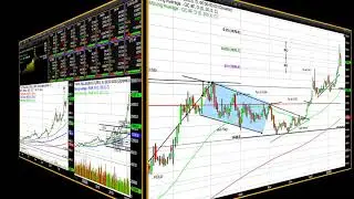 Extreme Volatility Continues to Frame Market Sentiment - 02/26/2020