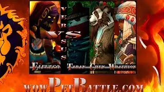Celestial Tournament Guide Taran Zhu Wrathion Chen Stormstout 5.4 Complete Walk Through