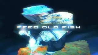 Knoir - FEED OLD FISH