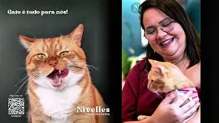 Nivelles 2026