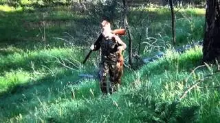 Red Fox whistled in CLOSE - Apex Fox Whistles
