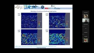 Guilhem Mollon - Granular simulation of fault gouge frictional melting