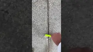 Fixing a crack at my local skate park because the city won&rsquo;t🤷&zwj;♂️