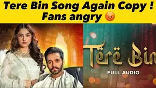 Tere Bin OST again copy by india !