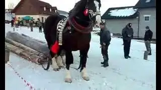 Furmansk&eacute; preteky Lendak 2015