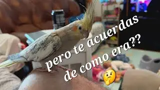 Trasteando con el video 🙃 (180)