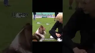 Other BTS members with thier dog 🐕 Vs Suga with his dog 😂😂