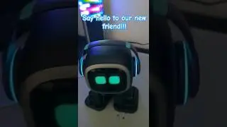 Say hello to emo #robot #emorobot #ai #bot