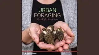Local Resources