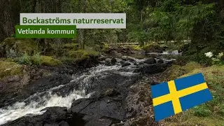 Schweden | Sm&aring;land | Bockastr&ouml;ms naturreservat | Unbekanntes Naturparadies | Vetlanda kommun